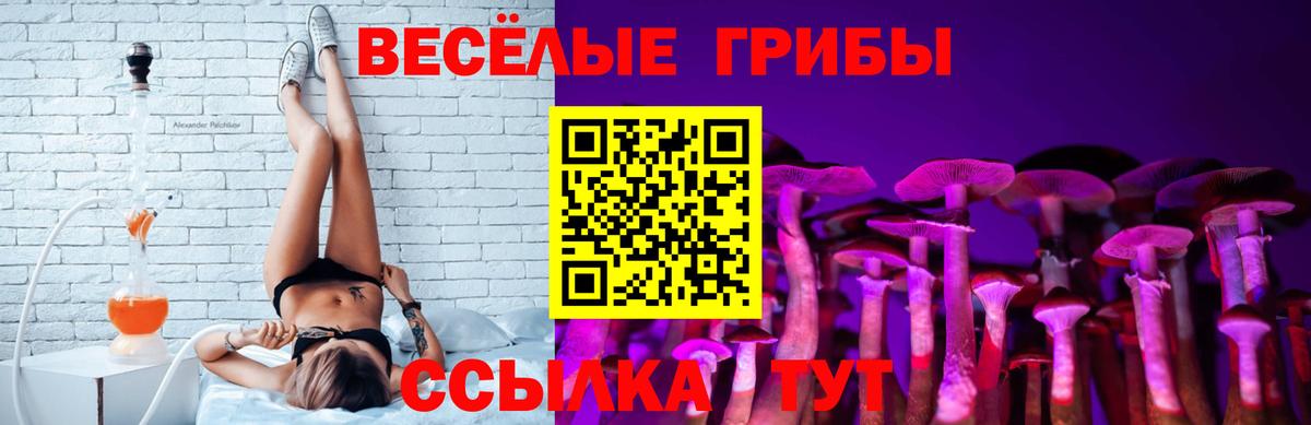 Псилоцибиновые грибы GOLDEN TEACHER  Вход с VPN  Астрахань  Псилоцибиновые грибы мухоморы 